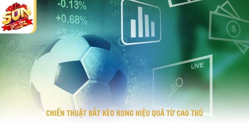 Chiến Thuật Bắt Kèo Rung Hiệu Quả Từ Cao Thủ