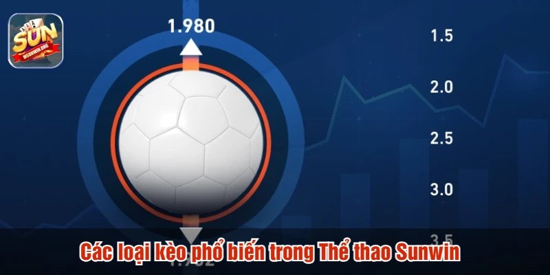 Các loại kèo phổ biến trong Thể thao Sunwin